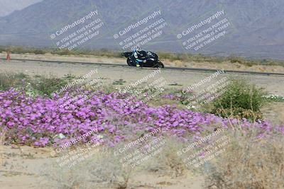 media/Feb-04-2023-SoCal Trackdays (Sat) [[8a776bf2c3]]/Turn 15 Inside Blooming (1050am)/